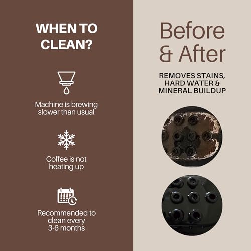 The Cleaner - 12 Month Supply (4 pack) - Image 5
