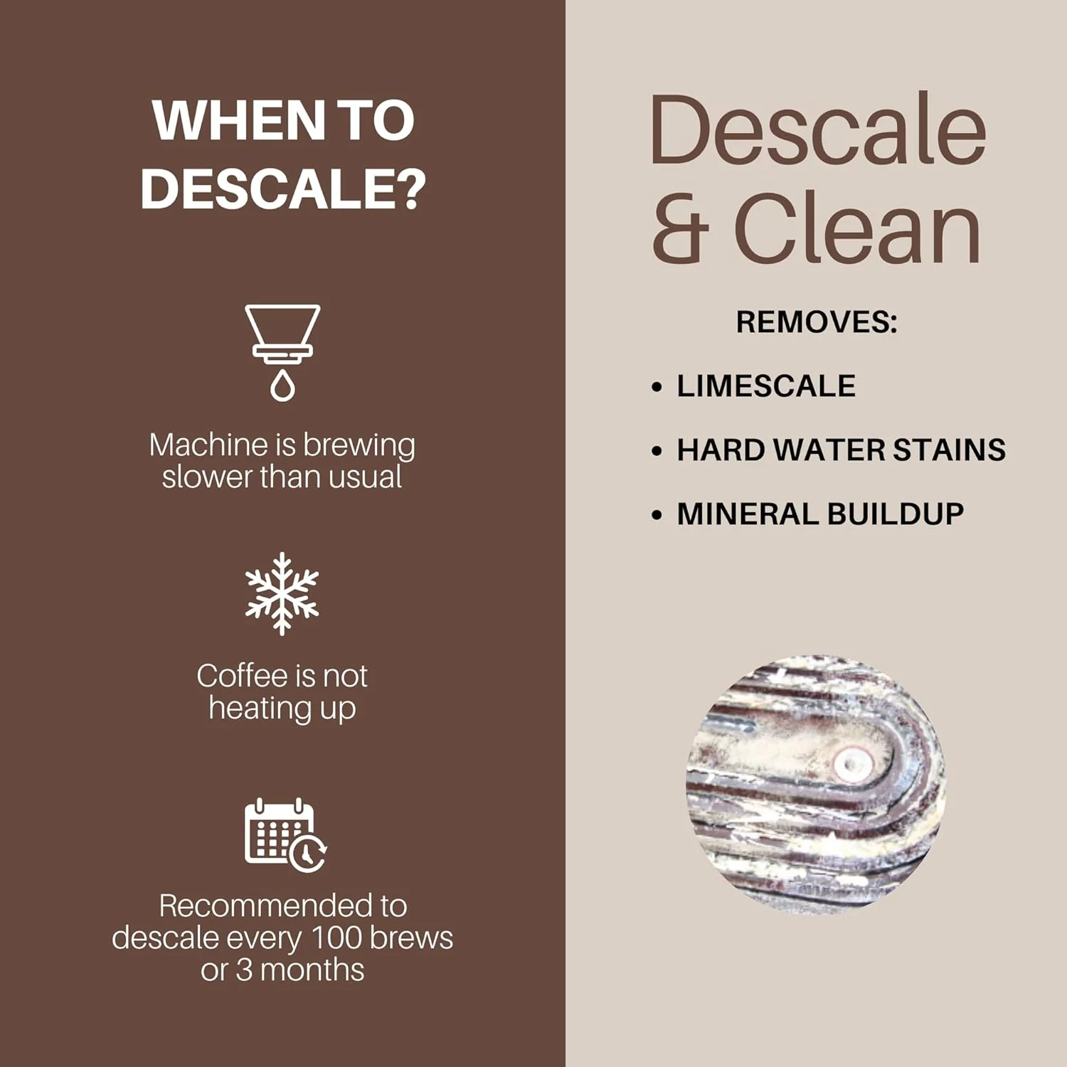 The Descaler-6 Month Supply (2 packs) - Image 5